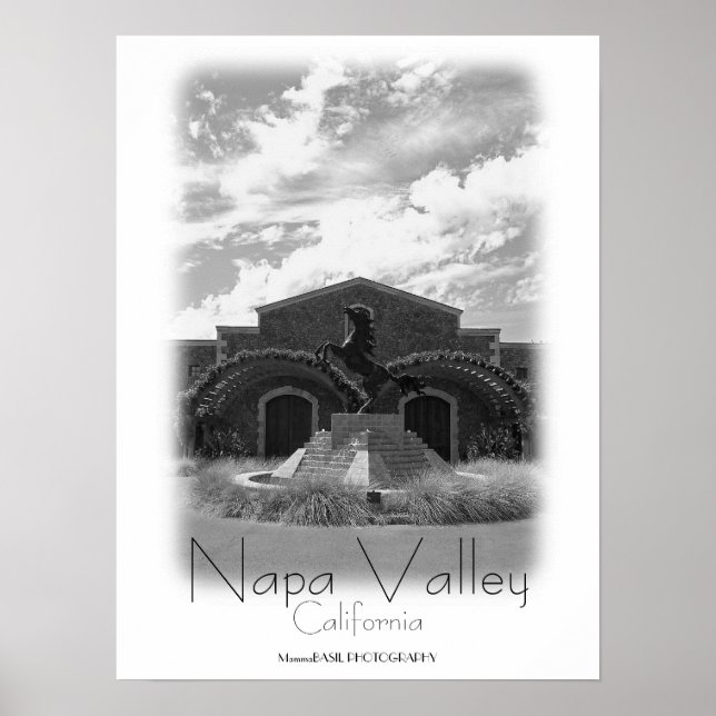 Póster ¡Hermoso Poster del Valle de Napa! (Frente)
