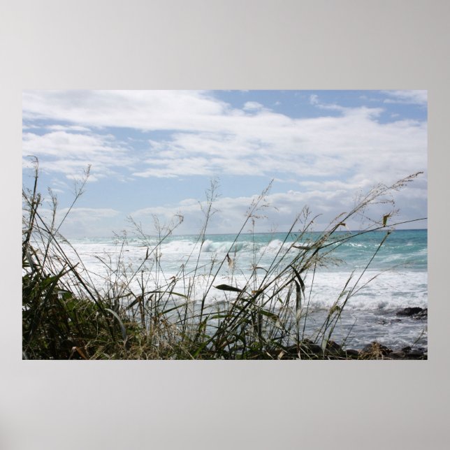 Póster Hermoso Poster oceánico hawaiano (Frente)