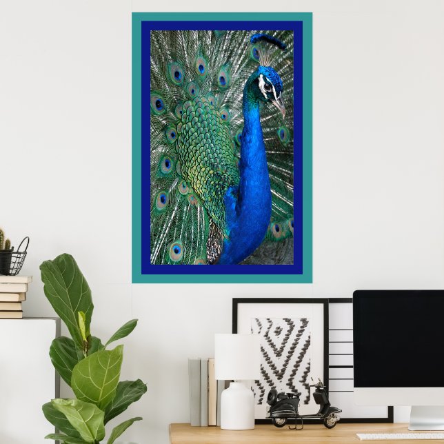 Póster Hermoso Poster real de fotografía pavo real (Oficina en casa)