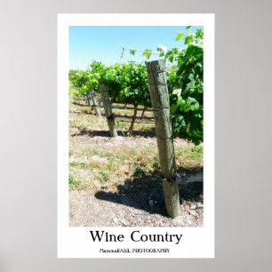 Póster ¡Hermoso Poster Vino!