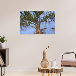 Póster Hermoso primer plano de palmera
