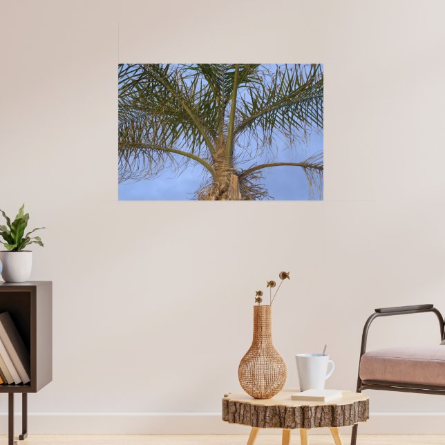 Póster Hermoso primer plano de palmera (Salón 3)