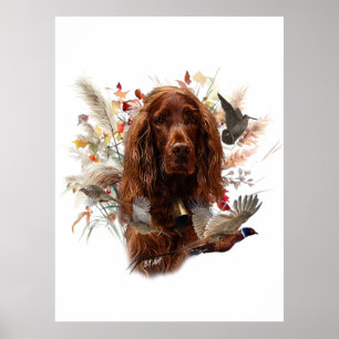 Póster Hermoso Red Setter Irlandés