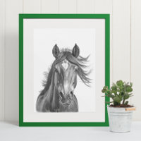 Hermoso retrato de cabeza de caballo blanco negro