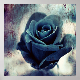 Póster Hermoso Rosa artístico elegante mágico azul