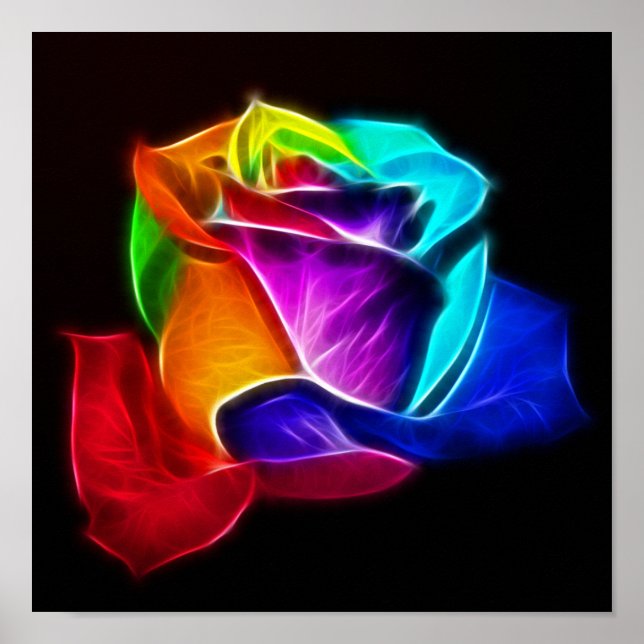 Póster Hermoso Rosa de colores 5 (Frente)
