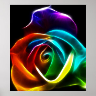 Póster Hermoso Rosa de colores No3