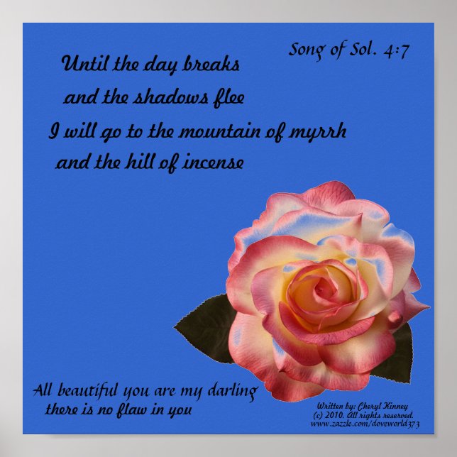 Póster Hermoso Rosa Poster (Frente)