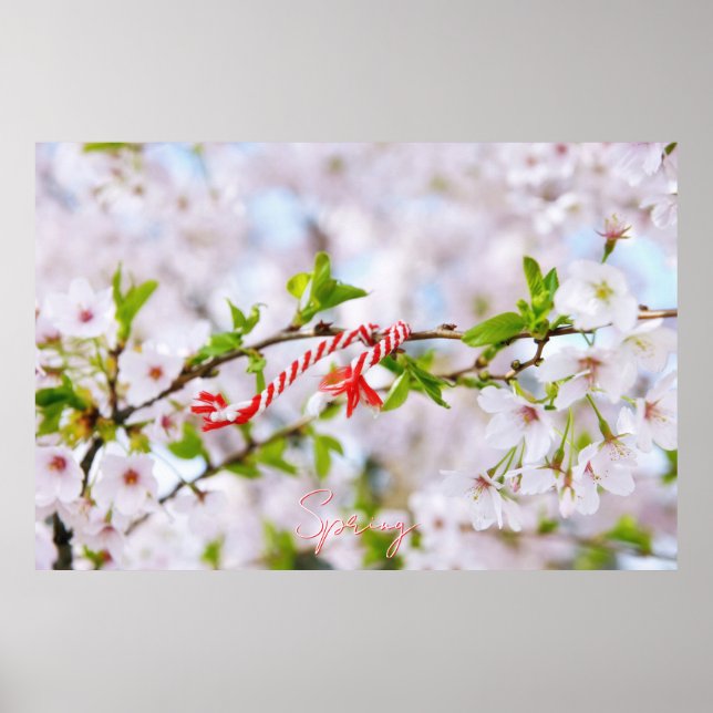 Póster Hermoso saludo de primavera (Frente)