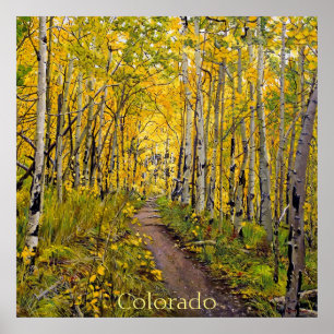 Póster Hermoso sendero otoñal escénico en el soto de álam