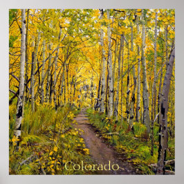 Póster Hermoso sendero panorámico de otoño en el bosque d