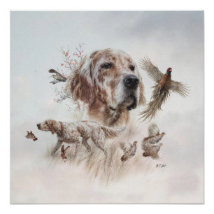 Póster Hermoso Setter, Arte