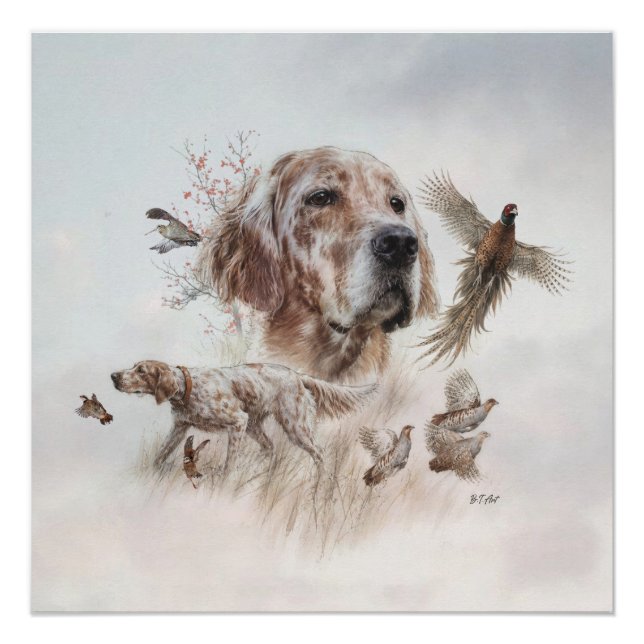 Póster Hermoso Setter, Arte (Anverso)