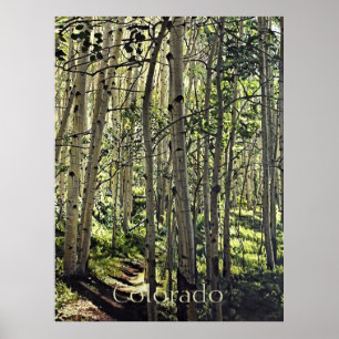 Póster Hermoso soto de álamos en Crested Butte Po