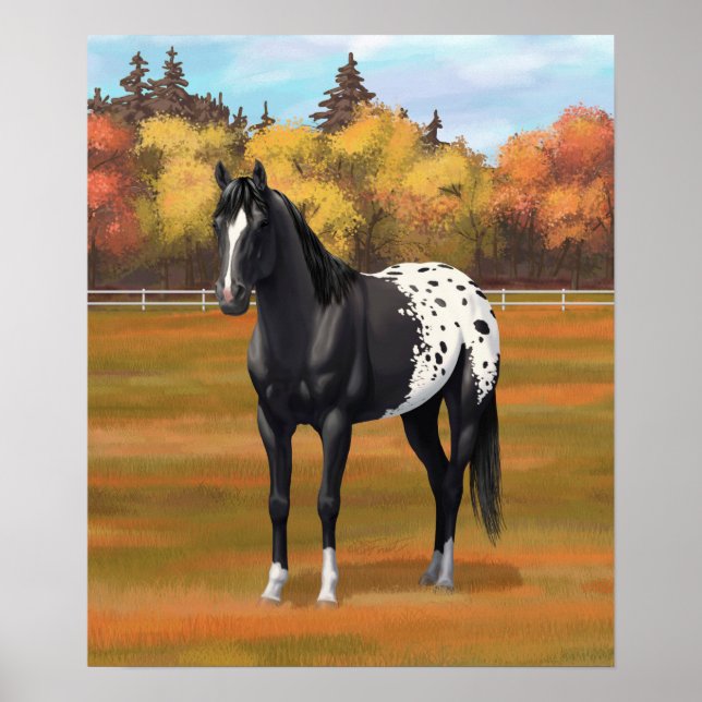 Póster Hermoso Stallion de Caballo de Barrio Appaloosa Ne (Frente)