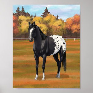 Póster Hermoso Stallion de Caballo de Barrio Appaloosa Ne