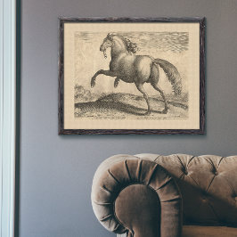 Póster Hermoso Stallion español antiguo elegante