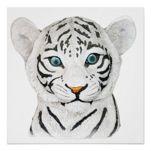 Póster Hermoso Tigre Blanco Con Ojos Azules