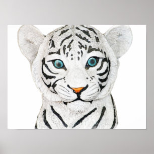 Póster Hermoso Tigre Blanco Con Ojos Azules