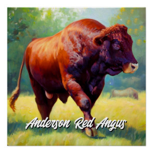 Póster Hermoso Toro Angus Rojo