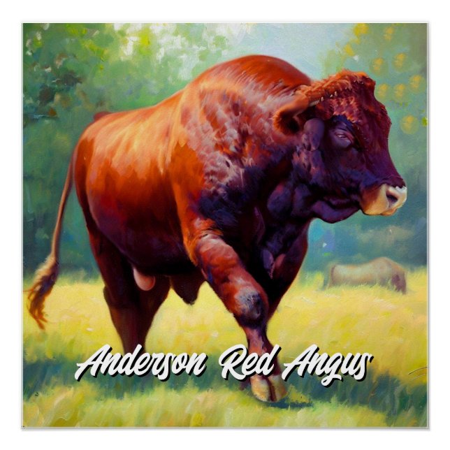 Póster Hermoso Toro Angus Rojo (Anverso)