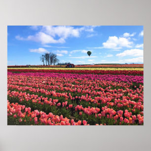 Póster Hermoso Tulip Field con globo de aire caliente, Or