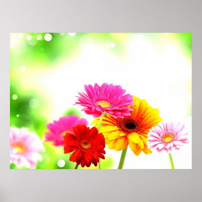 Póster Hermoso y tranquilo paisaje florido (Frente)