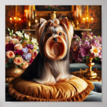 Hermoso Yorkshire Terrier