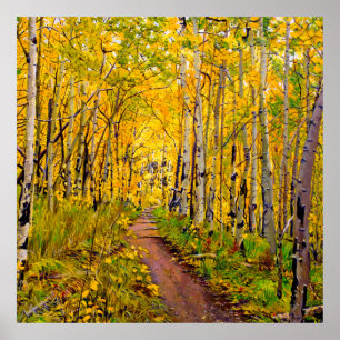 Póster Hermosos árboles ápicos en el esplendor otoñal