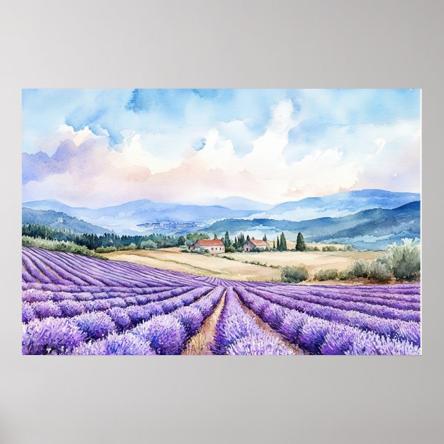 Póster Hermosos campos de lavanda (Frente)