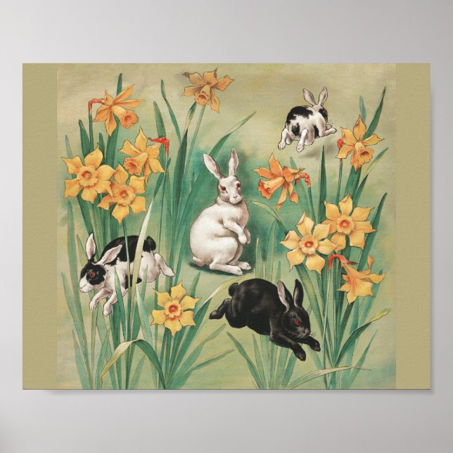 Póster Hermosos conejitos con flores de Daffodil Semana S (Frente)