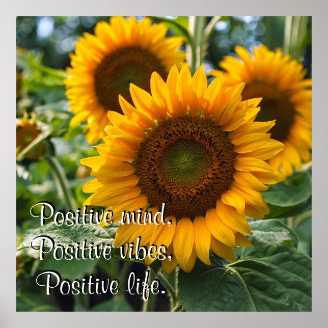 Póster Hermosos girasoles bajo el sol personalizados (Frente)