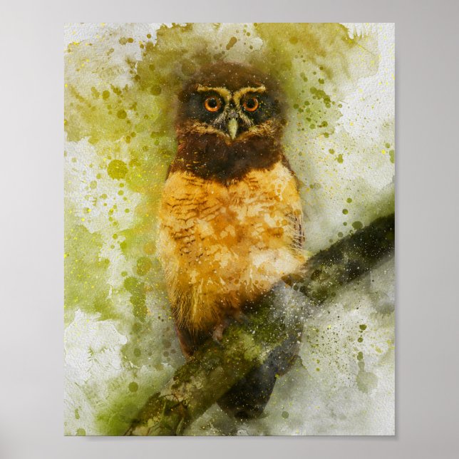 Póster hermosos ojos naranjas pájaros búho acuarela pintu (Frente)