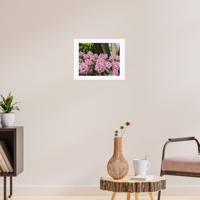 Póster Hermosos Rhododendrons Rosados Florales (Salón 3)