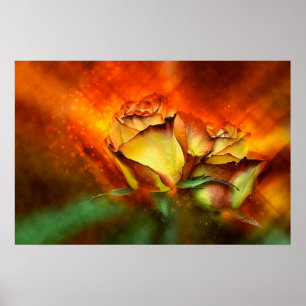 Póster Hermosos Rosas