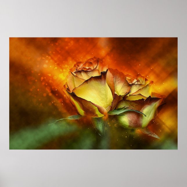 Póster Hermosos Rosas (Frente)