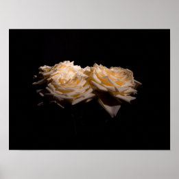 Póster Hermosos Rosas