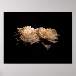 Póster Hermosos Rosas