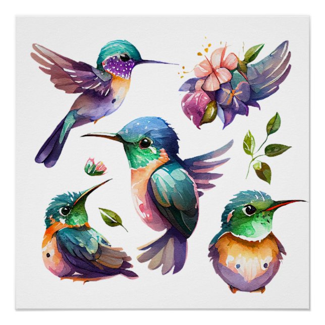 Póster Hermosos y bonitos colibríes para los amantes de l (Anverso)