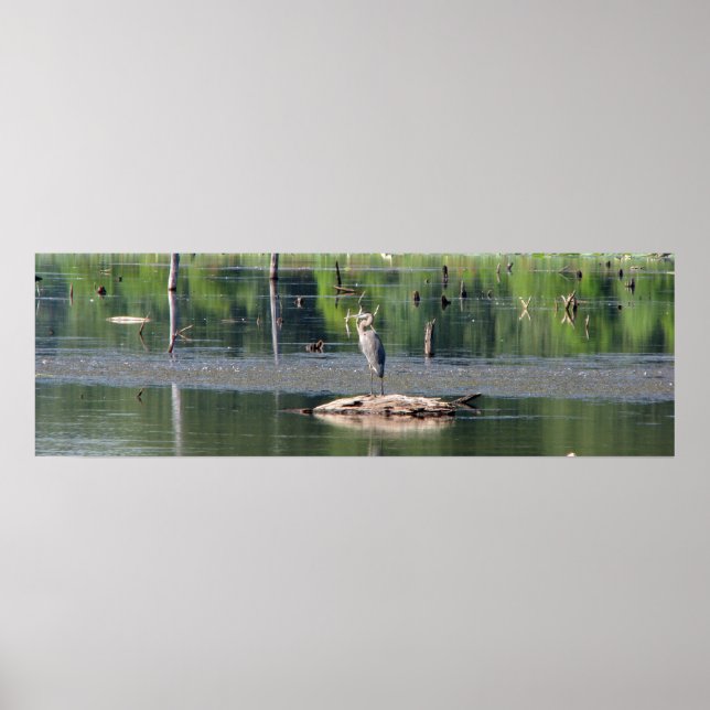 Póster Heron (Frente)