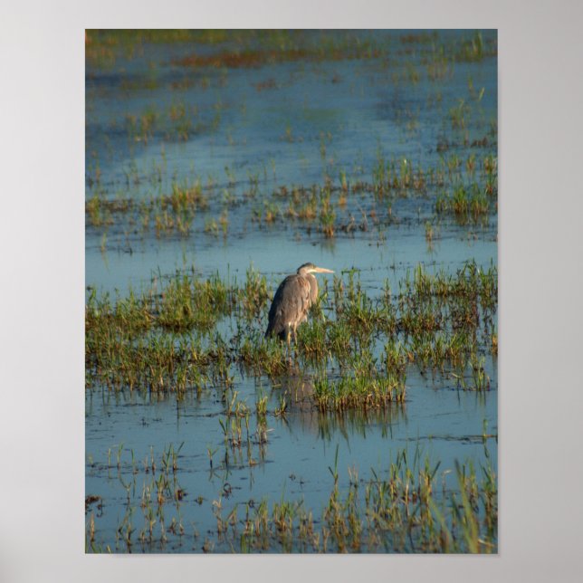 Póster Heron 6937 (Frente)