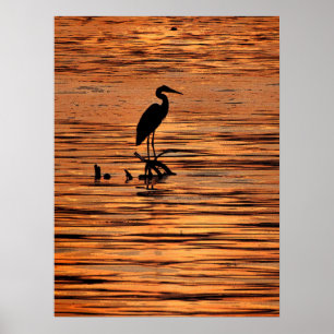 Póster Heron al atardecer