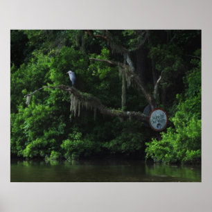 Póster Heron and Lazy River Poster Print