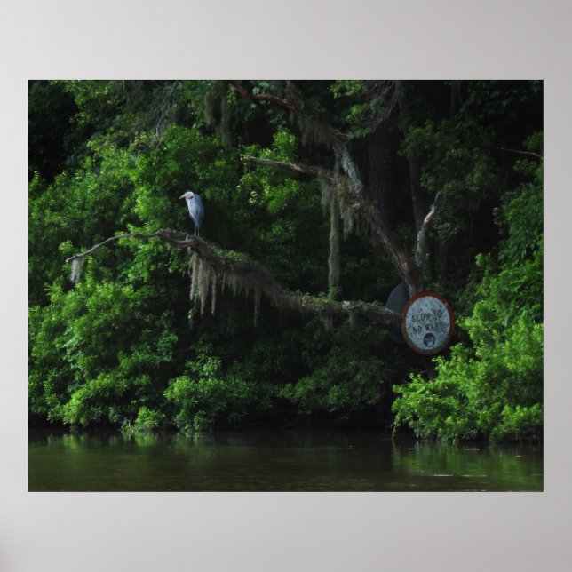 Póster Heron  and Lazy River Poster Print (Frente)