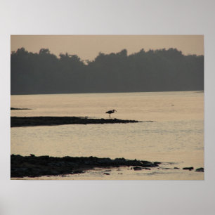 Póster Heron azul en el río Misisipi al atardecer