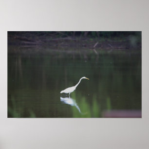 Póster Heron Bird en el Poster del agua
