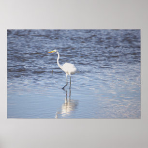 Póster Heron en el Poster del agua