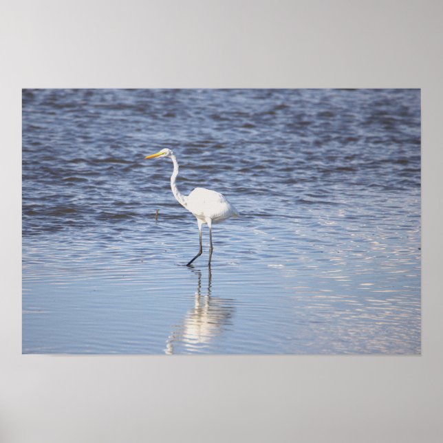 Póster Heron en el Poster del agua (Frente)