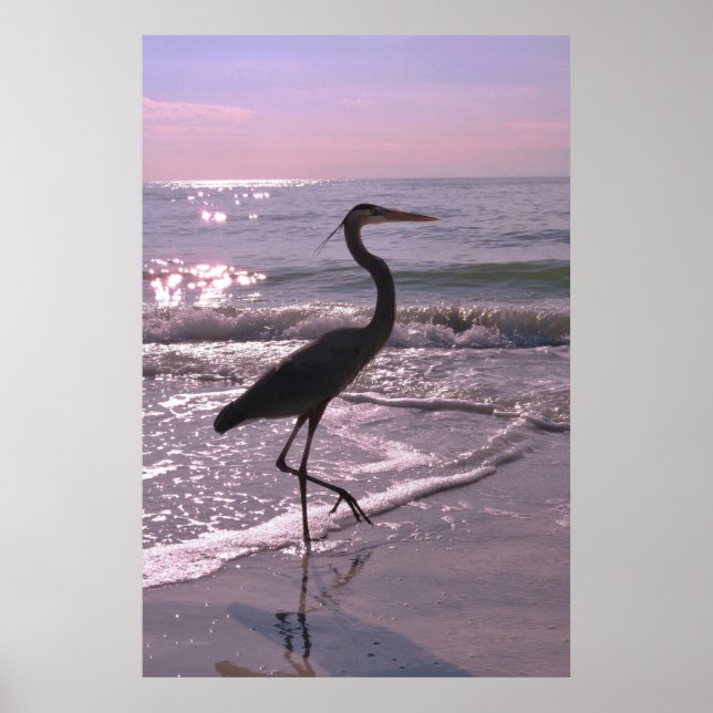 Póster Heron en un paseo (Frente)