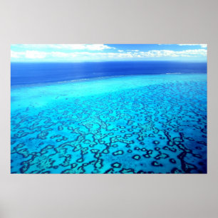 Póster Heron Island Reef